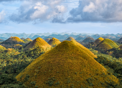 Bohol Countryside Tour (Day Tour)