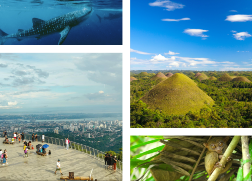 2D1N Cebu City Tour + Bohol Countryside Tour (Day Tour)