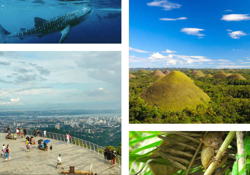 2D1N Cebu City Tour + Bohol Countryside Tour (Day Tour)