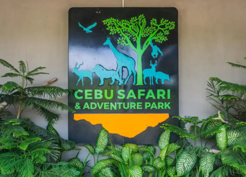 Cebu Safari Package