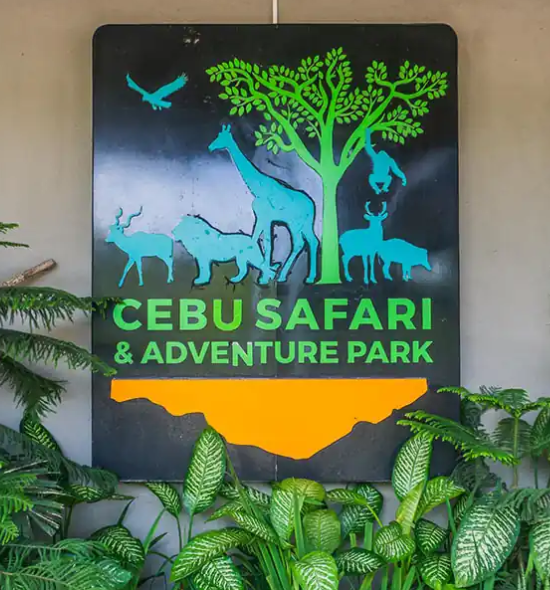 Cebu Safari Package